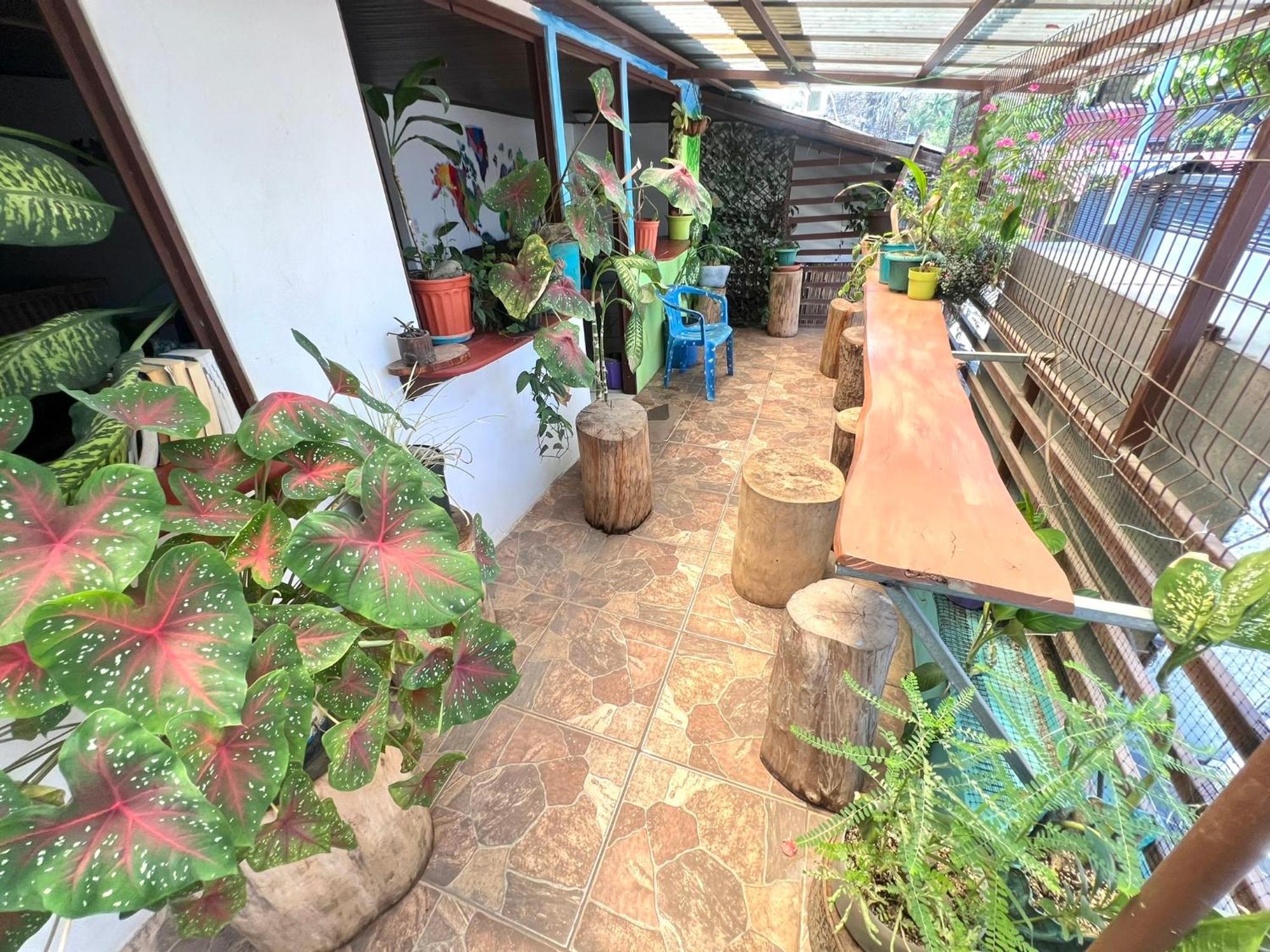 Passifloras Hostel Quepos Luaran gambar
